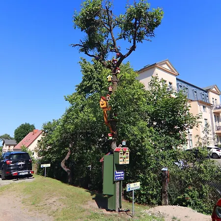 Sonnenterrasse In Ahlbeck *